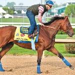 American Pharoah