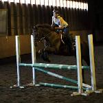 Kastell's Roxanne