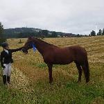Kastell's Roxanne