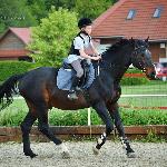 Astor - maj 2016<br />&copy; Klaudia Lorenc