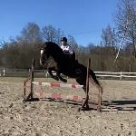 Molier - Molier<br />&copy; AS
