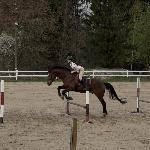 Molier - Molier<br />&copy; AS