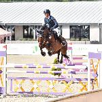 Macho<br />&copy; Kamila Tworkowska<br /><i>https://kjagrohandel.pl/pl/gallery/340-sportowy-czempionat-polski-mlodych-koni-2021.html</i>