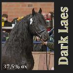 Dark Laes 008 (Laska Dark Laes)