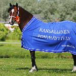 Moondelight Gwendolyn