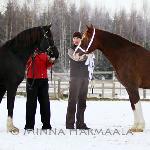 Moondelight Lucia<br /><i>Valhallas Lancelot & Moondelight Lucia</i>