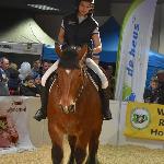 Sophia de la Croix - Agro-Show Ostróda 2017r.
