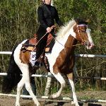 Cherokee Chicco