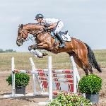 Summer M - Baborówko Horse Sale Show 2018<br />&copy; M&R Photo