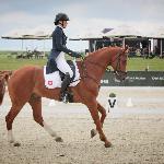 Chenaro 2<br />&copy; Alicja Cybulska / M&R Photo<br /><i>fb Equestrian Festival Baborówko</i>