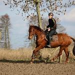 Cyrena - Galop<br />&copy; Kamil Fidos