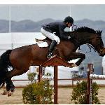 Cariette / M-Cariette