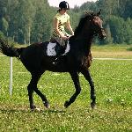Libero H
