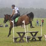 Obelix-Kur<br />&copy; kejti