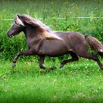 Viljar's Let's Twist Again