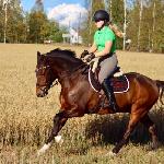 Copper's Prince Caspian