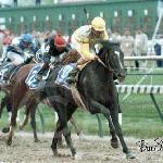 Sunday Silence