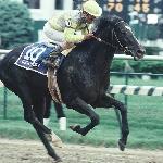 Sunday Silence