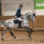 Still-Hof Macabeu (Clarimore)