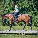 Obara - 24.08.2019r.<br />&copy; Bożena Janiszewska