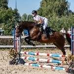 Corvetta<br />&copy; DJK Fotografia<br /><i>Zawody w skokach przez przeszkody ZTR-B
Fundacja Końskie Zdrowie, Elbląg, 17.09.2023</i>