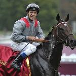 Treve