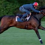 Treve