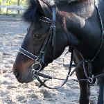 Missisippi IV ex. Missisippi