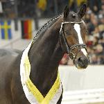 Coal Diamond