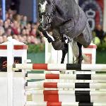 Hickstead White