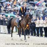Cornet's Balou (Balou du Reventon)