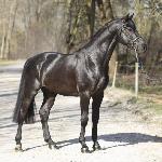 Call Me Black