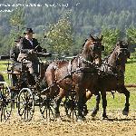 Ignac - lewa<br />&copy; Anna Deszczyńska