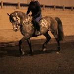 Milord