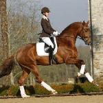 Don Juan de Hus ex Diovannie