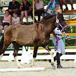 Folder - Topolczanki 3-4 września 2016<br />&copy; Paulina Peckiel www.peckiel.pl