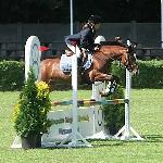 Grange Surf Sparkle (Migotka)<br />&copy; K. B. /voltahorse.pl