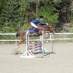Lapinjärvi Count de Luxe