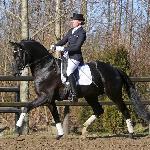 Prinz K3