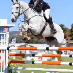 Balmoral Sensation