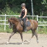 Flaming Bueno