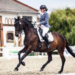 Candela - Candela & Katarzyna Porożyńska-Pankau - Mistrzostwa Wielkopolski w ujeżdżeniu, Racot 2024<br />&copy; Katarzyna Pakuła