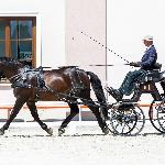 Amaro - Kl. N 1 miejsce. Jeżów