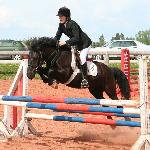 Vilde