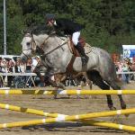 Cloonahinch Brave Smokey