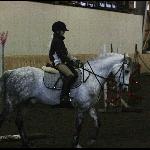Cloonahinch Brave Smokey
