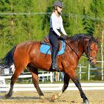 RP-Royal Picador