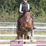RP-Royal Picador
