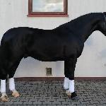 Lancelot