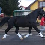 Lancelot
